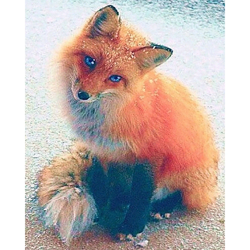 
Customized Diy Full 5 D Diamond Diy Paintings 