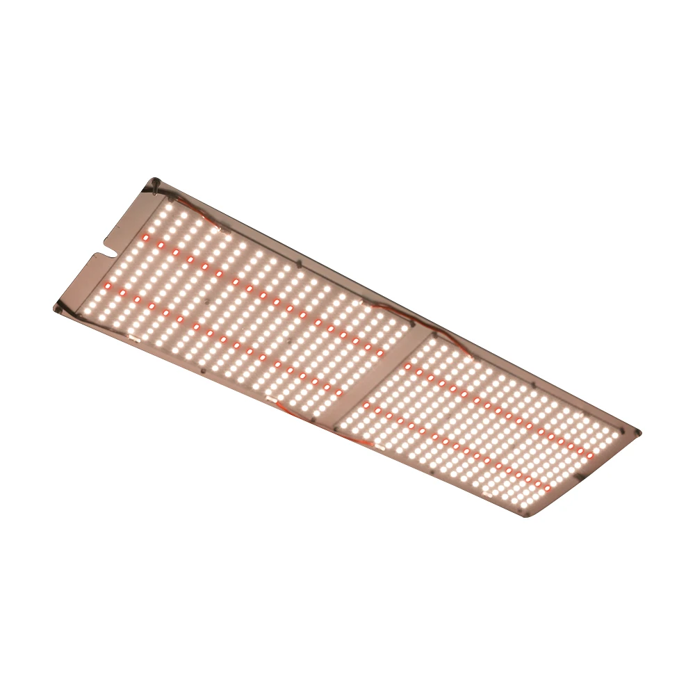 Maaadro Wholesale Cheap Professional Lm301h Lm301b 5088 240W Grow Light For