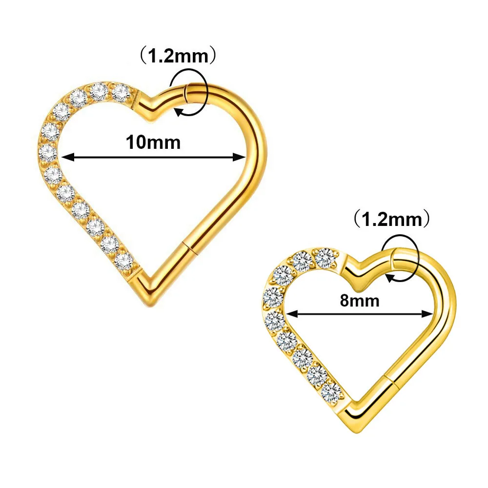 G23 Titanium Hinged Hoop Segment Sleeper Earrings Heart Shaped Zircon Nose Ring Clicker Piercings Jewelry Stainless Steel