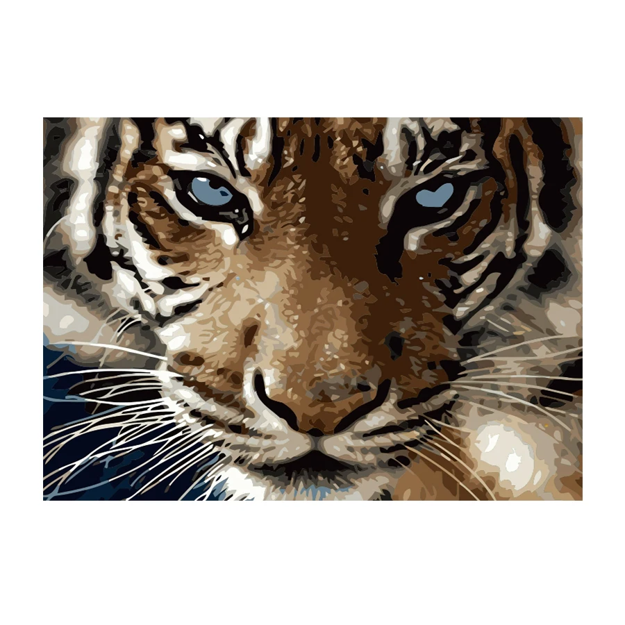 
Manufacturers selling hand-painted 40*50CM The King Gaze DIY oil painting by numbers 