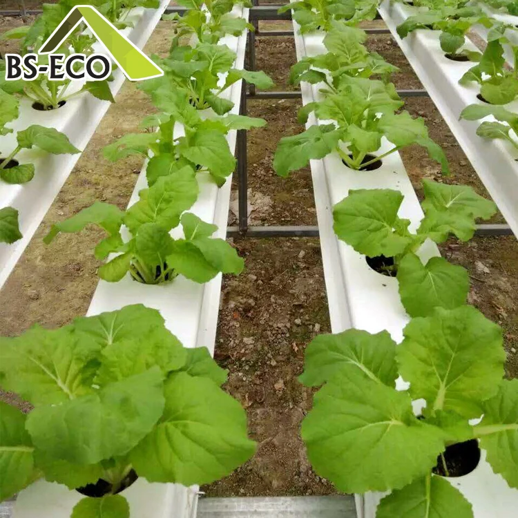 Hot sale agricultural cultivation equipment Steel Structure PO film greenhouse for Breeding/Exhibition/Research/Aquaculture