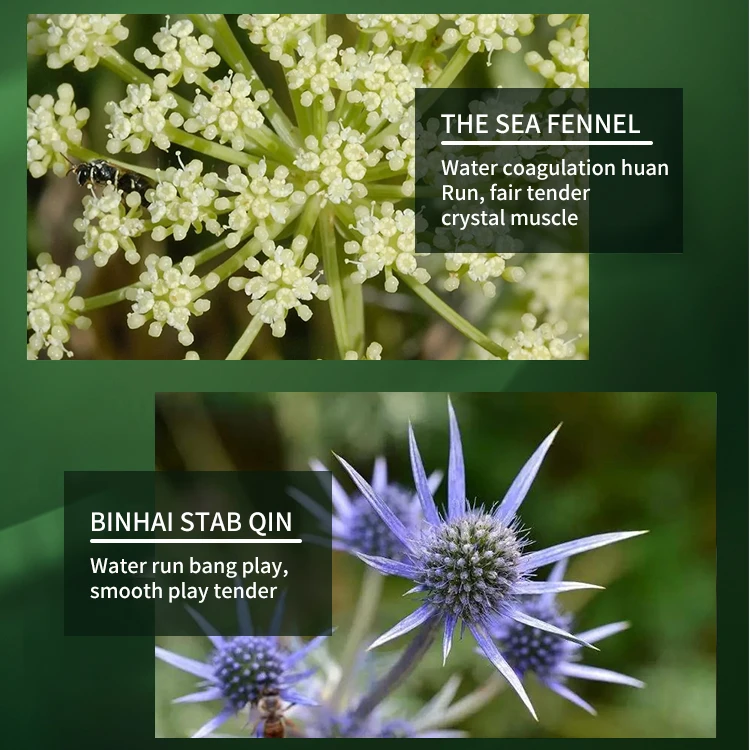 Private Label Custom Logo Korea Organic Facial Skincare Products Moisturizing Brightening Face Cosmetics Tea Tree Skin Care Set