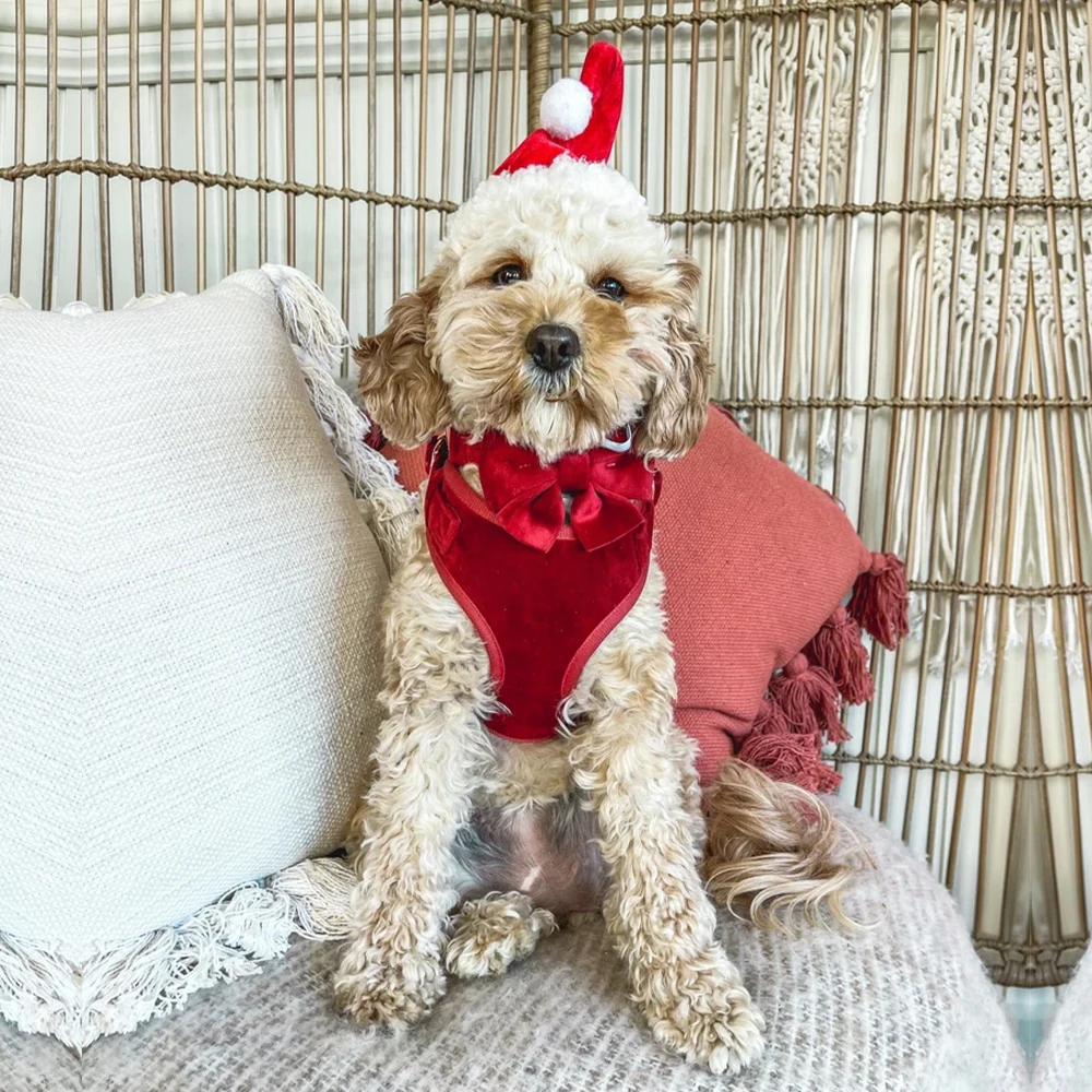 Popular Custom Pet Reversible Dog Harness With Metal Buckle Dog Collar Leash Set Service Dog Vest