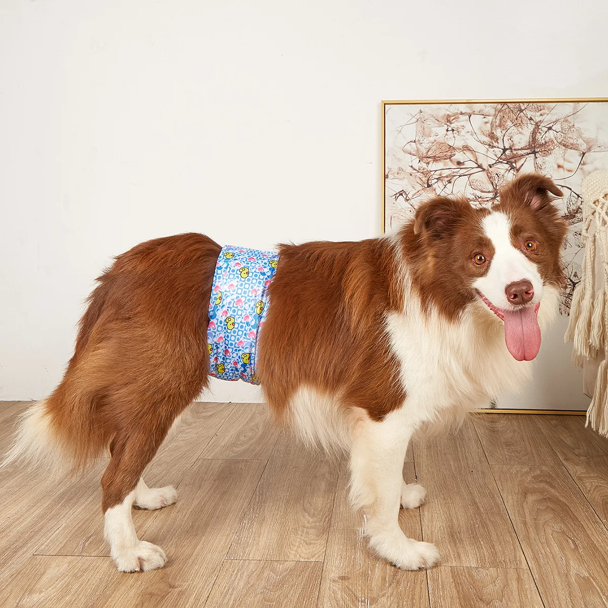 Wholesale free sample oem super absorbe washable reusable female pet dog diaper for dogs