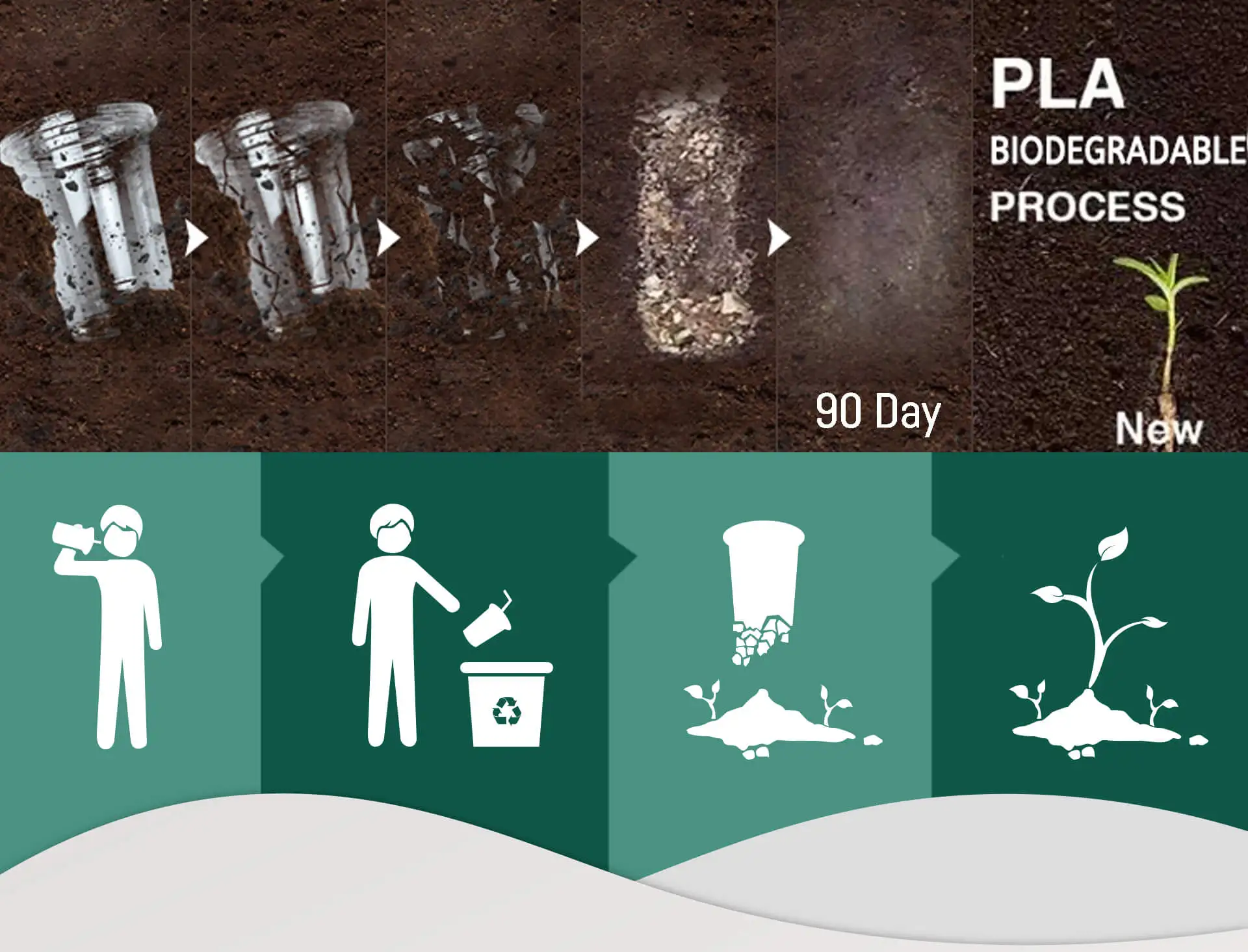 100% biodegradable disposable 2 16 12 32 oz CPLA plastic lid clear cold beer milk tea coffee sauce U shaped PLA custom cup