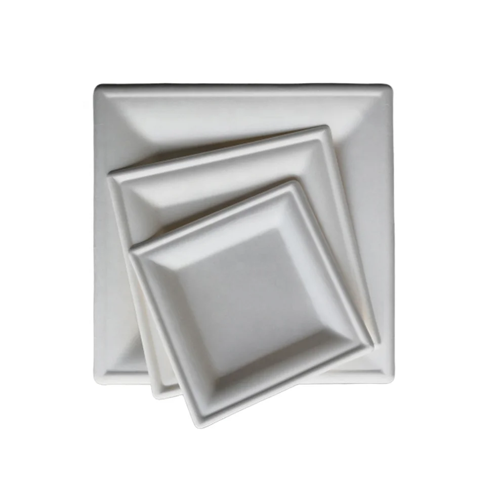 Disposable Paper Square Plates Biodegradable Square Dinner Plates White 10 Inch 6 Inch 8Inch Square Plate Bagasses Paper Pulp