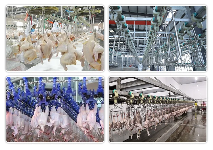China supplier hot sell reliable complete chicken slaughtering machine