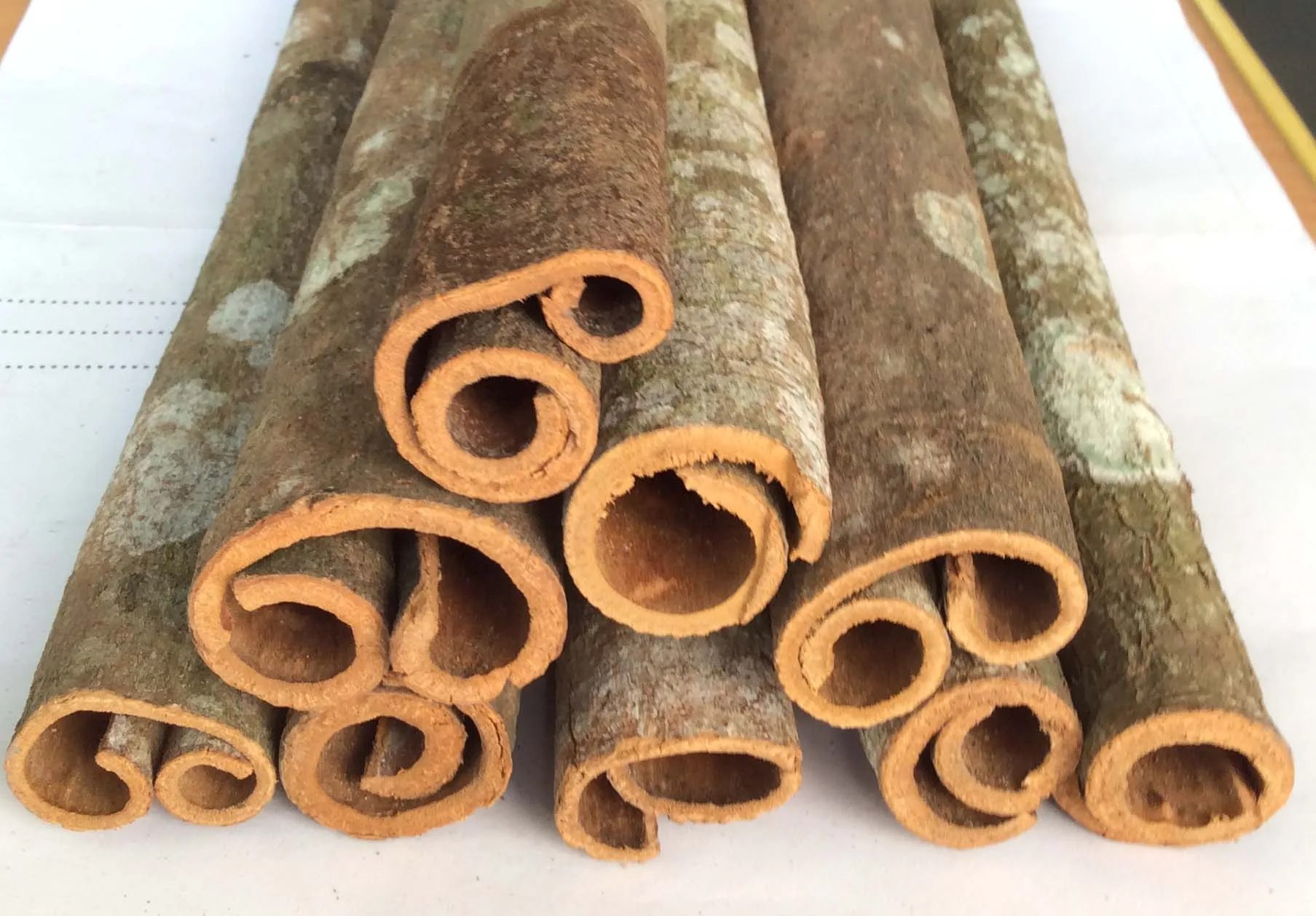 Горячая Распродажа травы и специи ярко-коричневый ароматизатор сушеные палочки корицы из Вьетнама для экспорта-Linda whatsapp 0084989322607