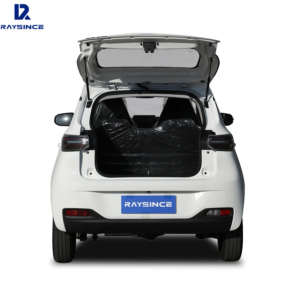 Raysince Right Hand Drive Electric Smart Car for Teenagers
