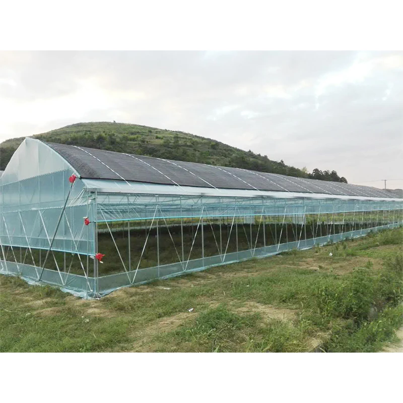 
Industrial Greenhouse Agriculture Single Span Multi Span Greenhouse Garden 