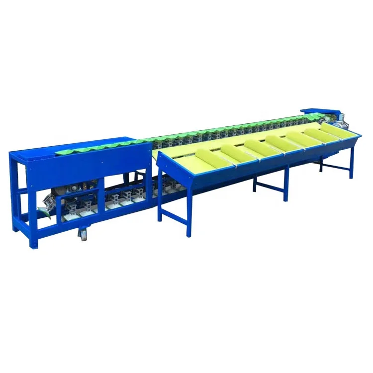 Equipment for measuring and sorting by weight for sorted fruit and vegetable processing equipment