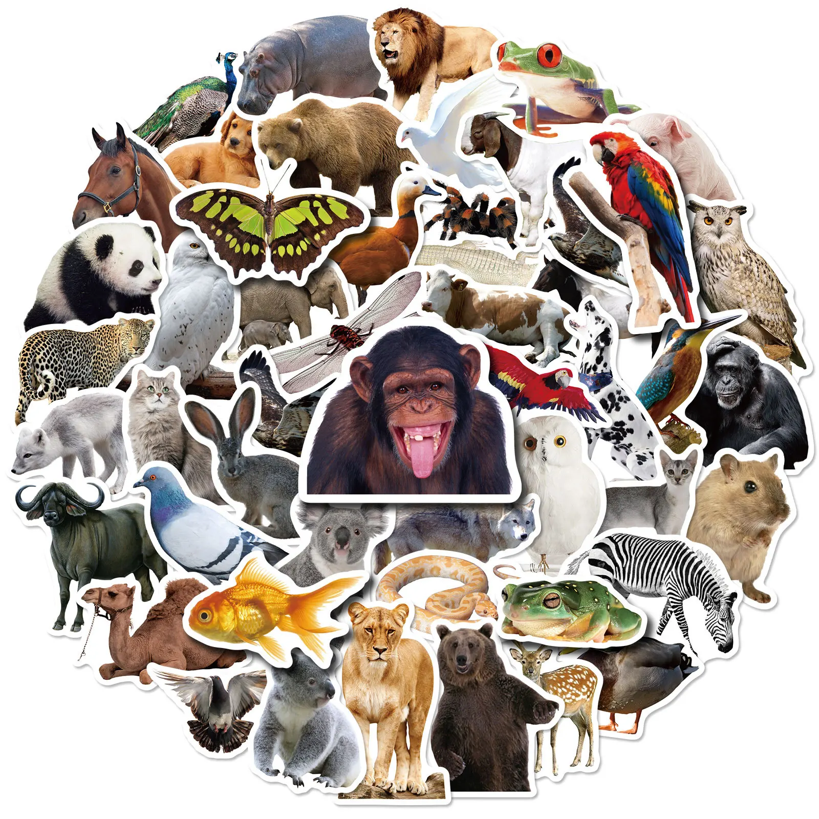 50Pcs Bird Stickers Realistic Zoo Animals Cool Graffiti Stickers For Children Refrigerator Water Bottles Stickers