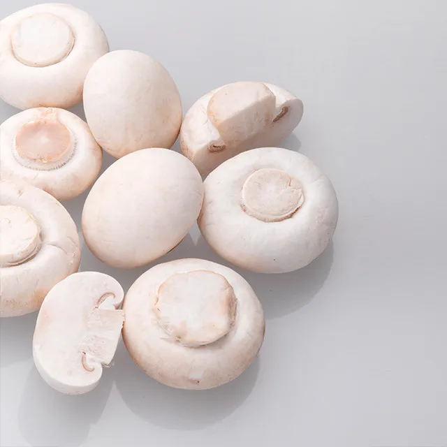 Консервированные грибы премиум-класса shiitake в барабане
