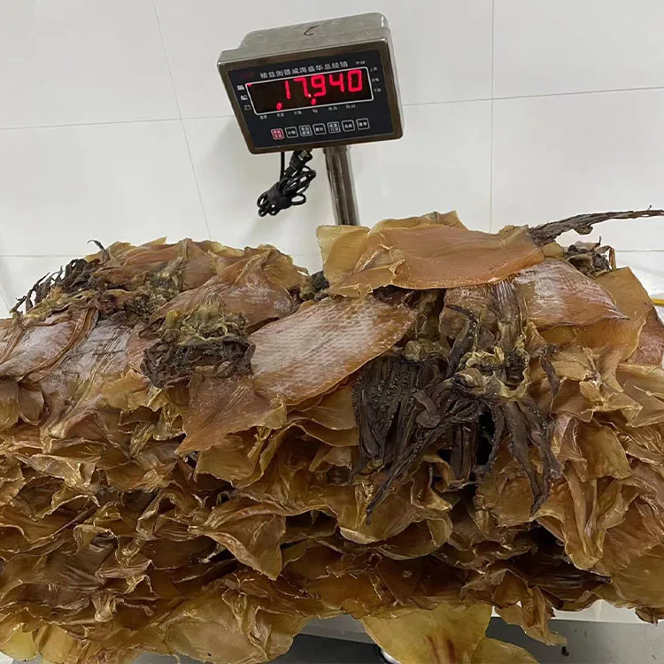 dried squid whole 22