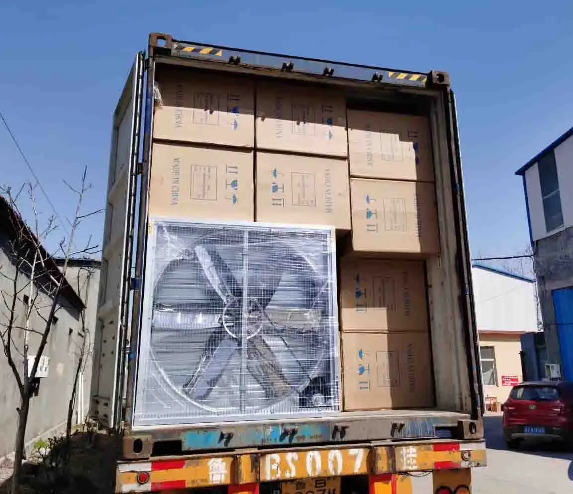SUNSGH Made in China Greenhouse Agricultural Agriculture Product Production Green House
