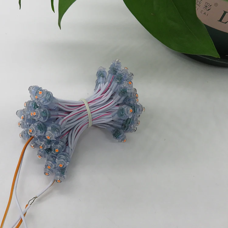 Outdoor Waterproof Advertisement 9mm Led Pixel Light 12v