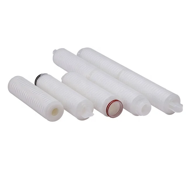 Multiple Layers Nylon 66 Pleated Filter Cartridge 0.22/0.45 Micron with Good adsorption of protein Interface with DOE 222 226