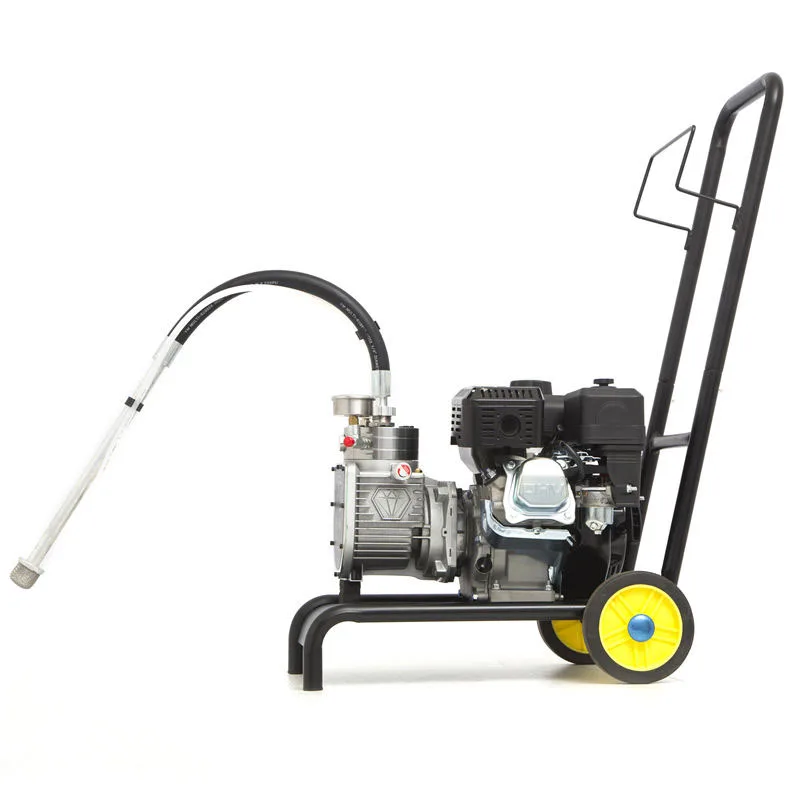 Efficient Electric Airless Paint Sprayer Diaphragm Pump for Pressure Feed for Paint Spray Application