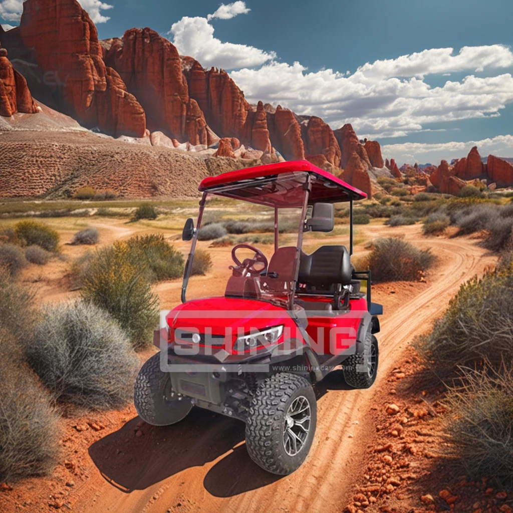 Shining Brand 4 seats electric golf carts universal enclosure with roof rack golf cart