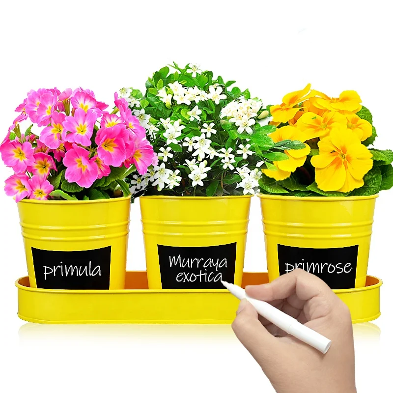 Galvanized Metal Flower Pots & Planters Succulent Herb Plant Bucket Set with Tray and Drain Holes - for Indoor Outdoor Garden