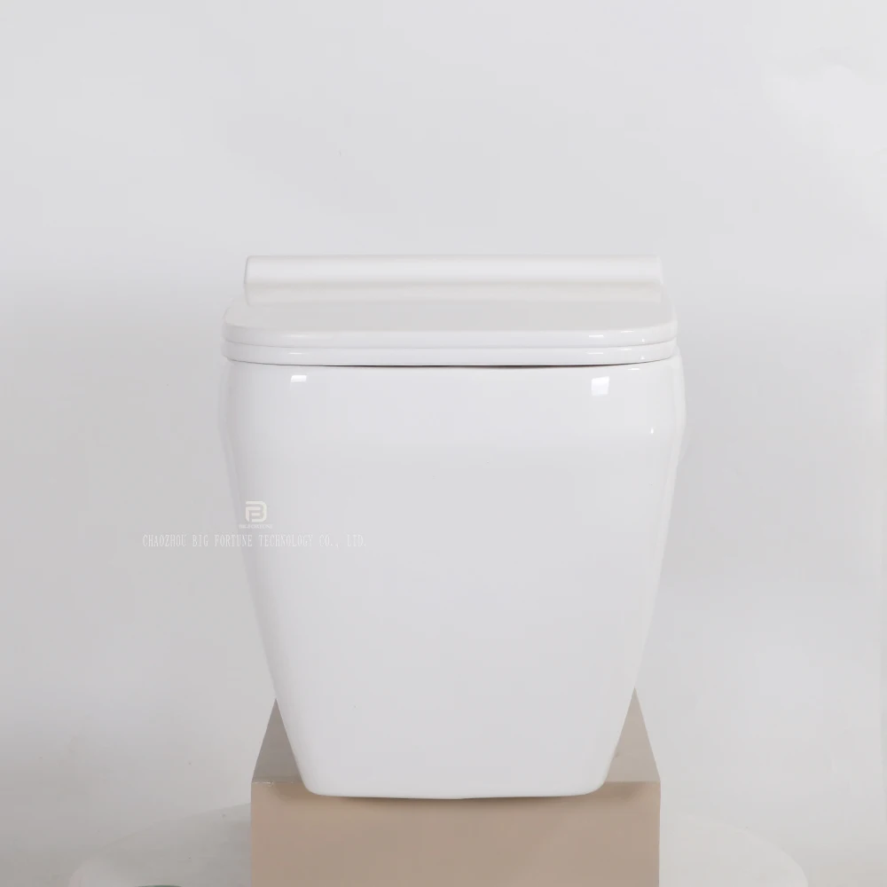 High Quality Wall Hanging Toilet Toilette Suspendue Concealed Flush Tank Wall Mounted WC Toilet