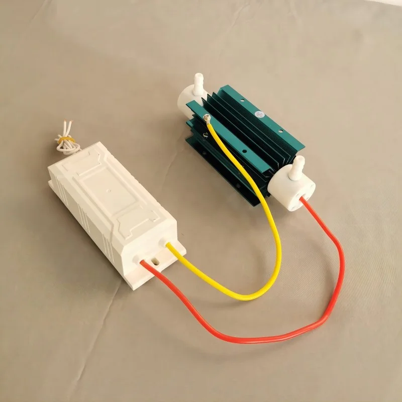 5g 55w 220v 110v  12v cheap air purifier ozone generator cell for air and water