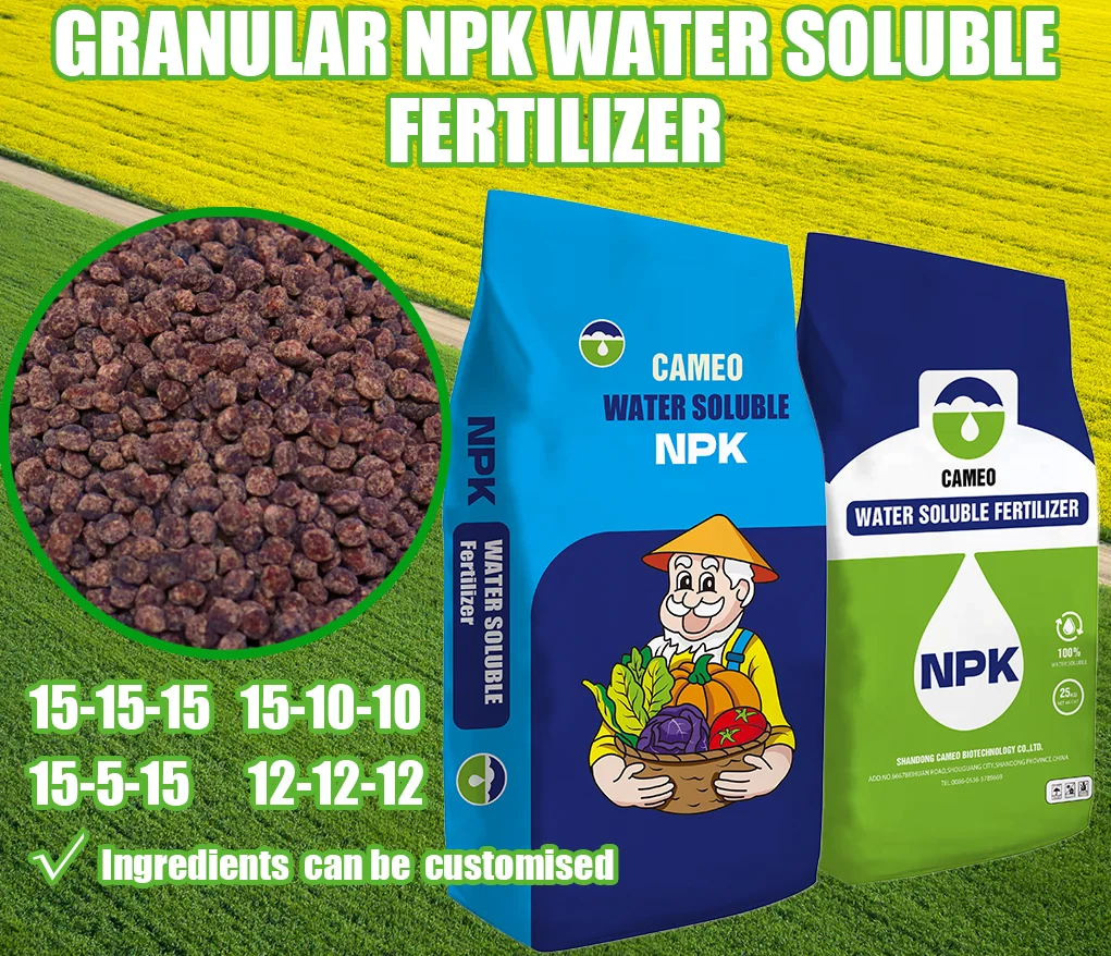 NPK Controlled Release Water Soluble Compound Fertilizer Granular for Agricultural Use  Granules Water Soluble Fertilizer