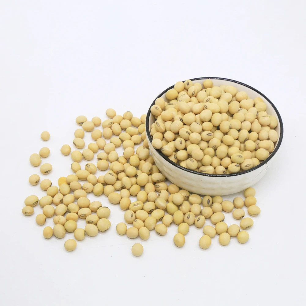 Оптовая продажа, соевые/соевые бобы желтого цвета без ГМО