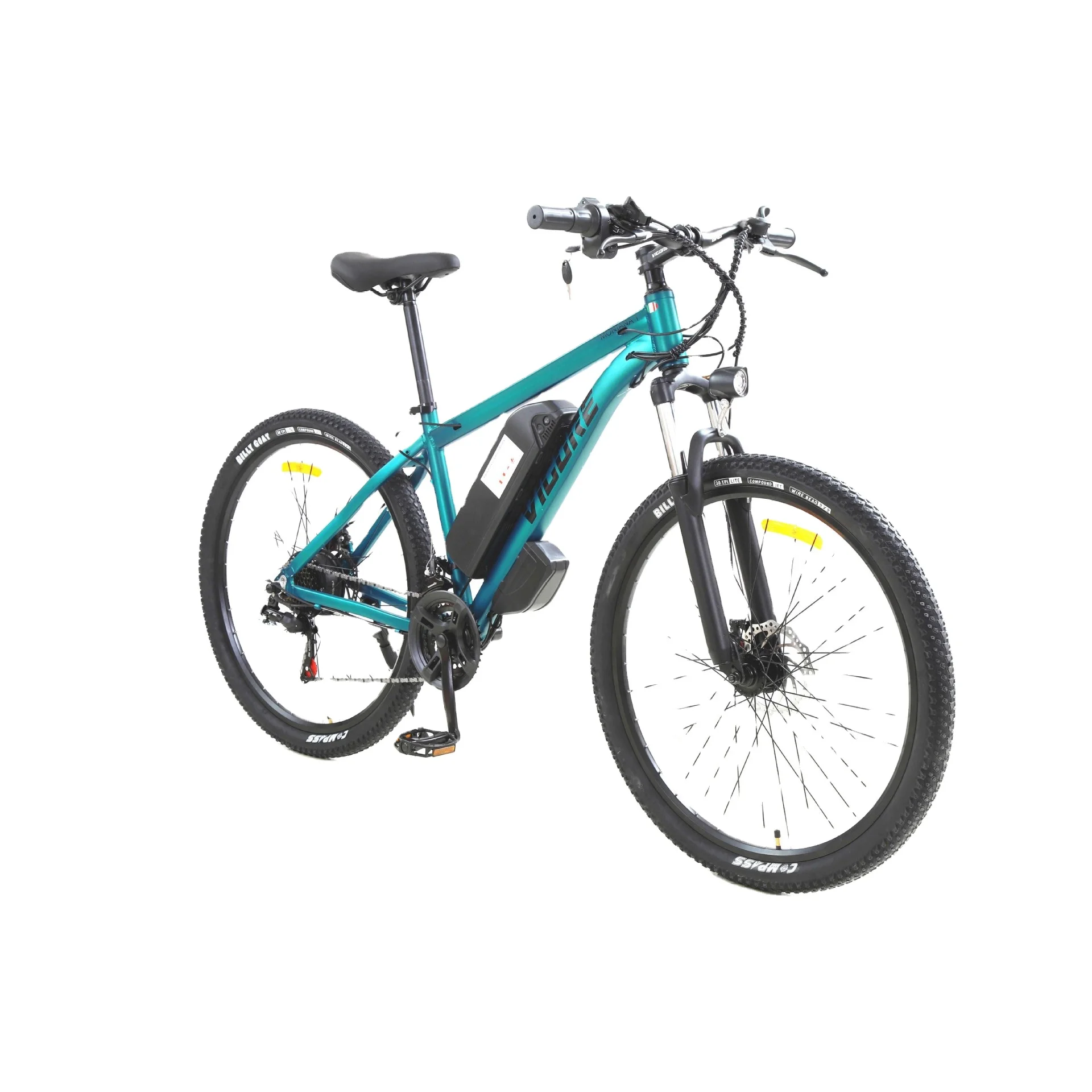 26 дюймов 250 Вт 48 В электровелосипед с аккумулятором городской велосипед для женщин и мужчин Электрический