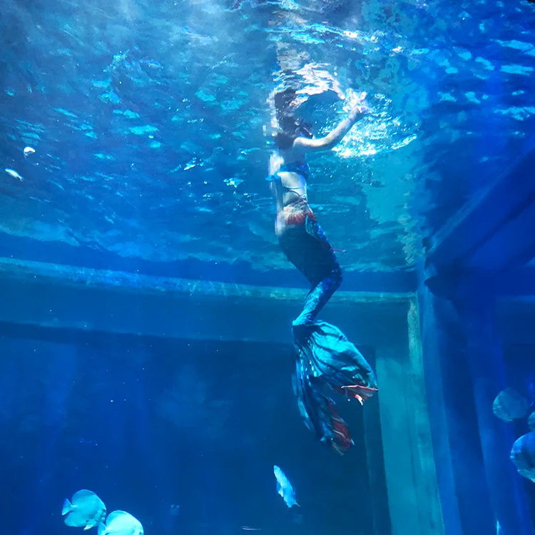 Acrylic Glass For Aquarium Tank Large High Gloss Sheet Viewing