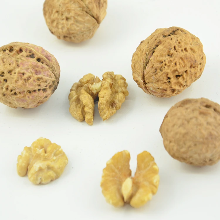 Yunnan Thin Shell Taste nuts Delicious Nutrition Juglandis and Walnut Kernel