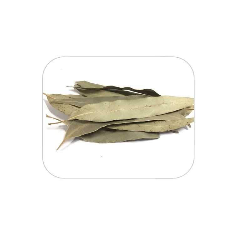 100% Pure and Organic Dried Eucalyptus Leaf Fresh Whole Herb with Oil Preserved Raw Spice Trusted Producer Drying Process AD