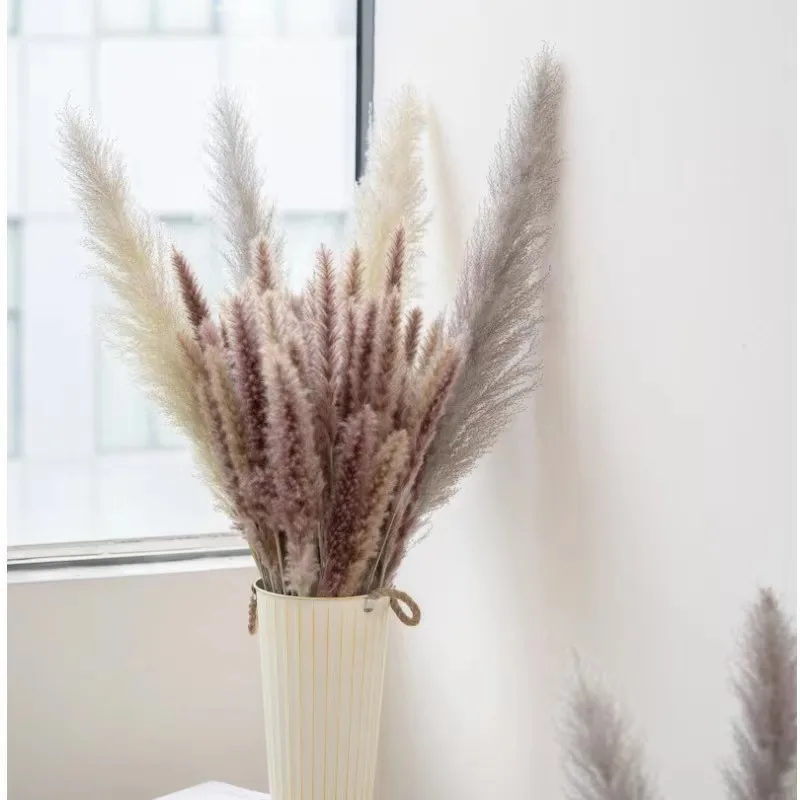 Manufacturers sell dried flowers, small reed dried flowers, cross-border Amazon pampas grass