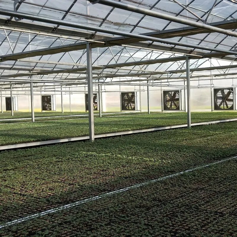 agricultural farm used greenhouse frames for sale