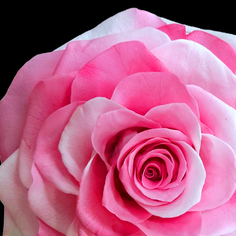 Wholesale AA Grade A Premium Quality 9-10cm Rainbow Preserved Rose Head