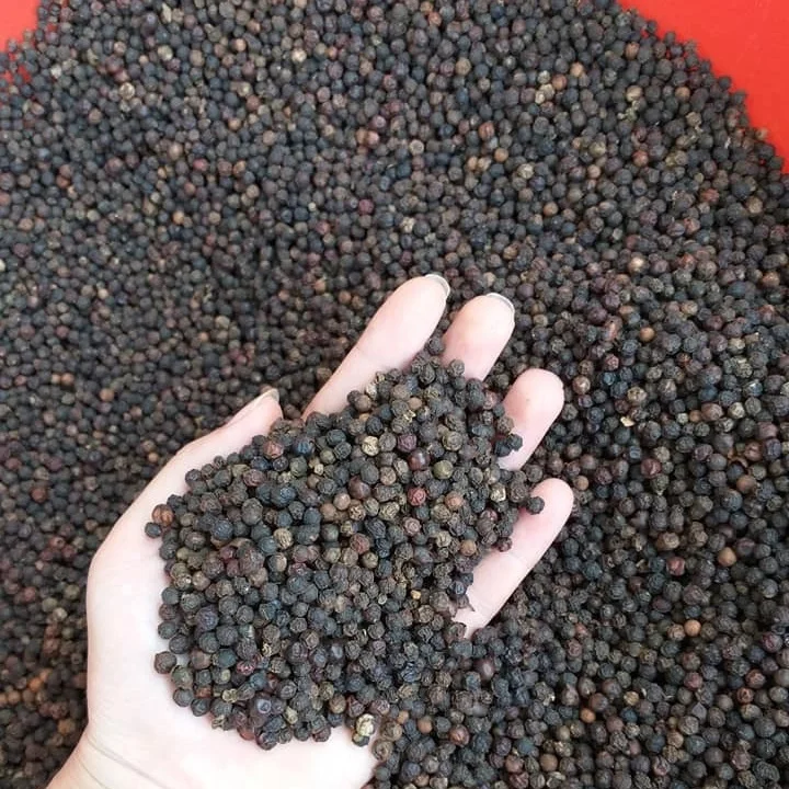 Clean and FAQ Black Pepper Vietnam Phalco White pepper Quality Piperin standear whatsapp 84327008393