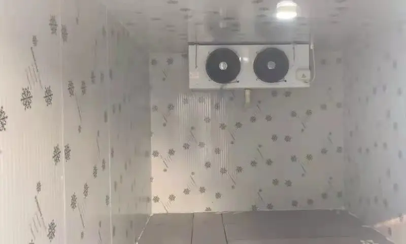 New type freezer cool room cold room project refrigeration unit big room cold storage system