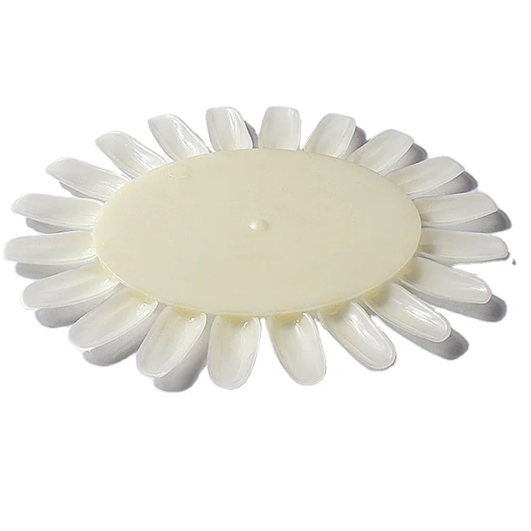 
20 Tips False Nail Art Display Natural Clear Acrylic Nail Color Card Practice Wheel Board Painting Nail Polish Palette Tools 