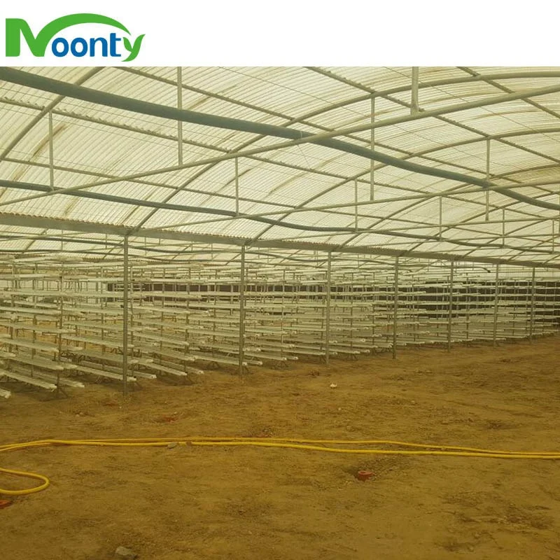 Customized Commercial Hydroponics Vertical Grow System for Greenhouse City Farm