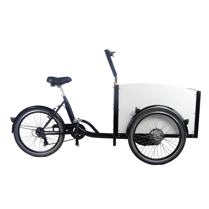 Fast Food Cargo Bike 3 Wheels for Delivery Cheap E-Bike Electric Cargo Bicycle