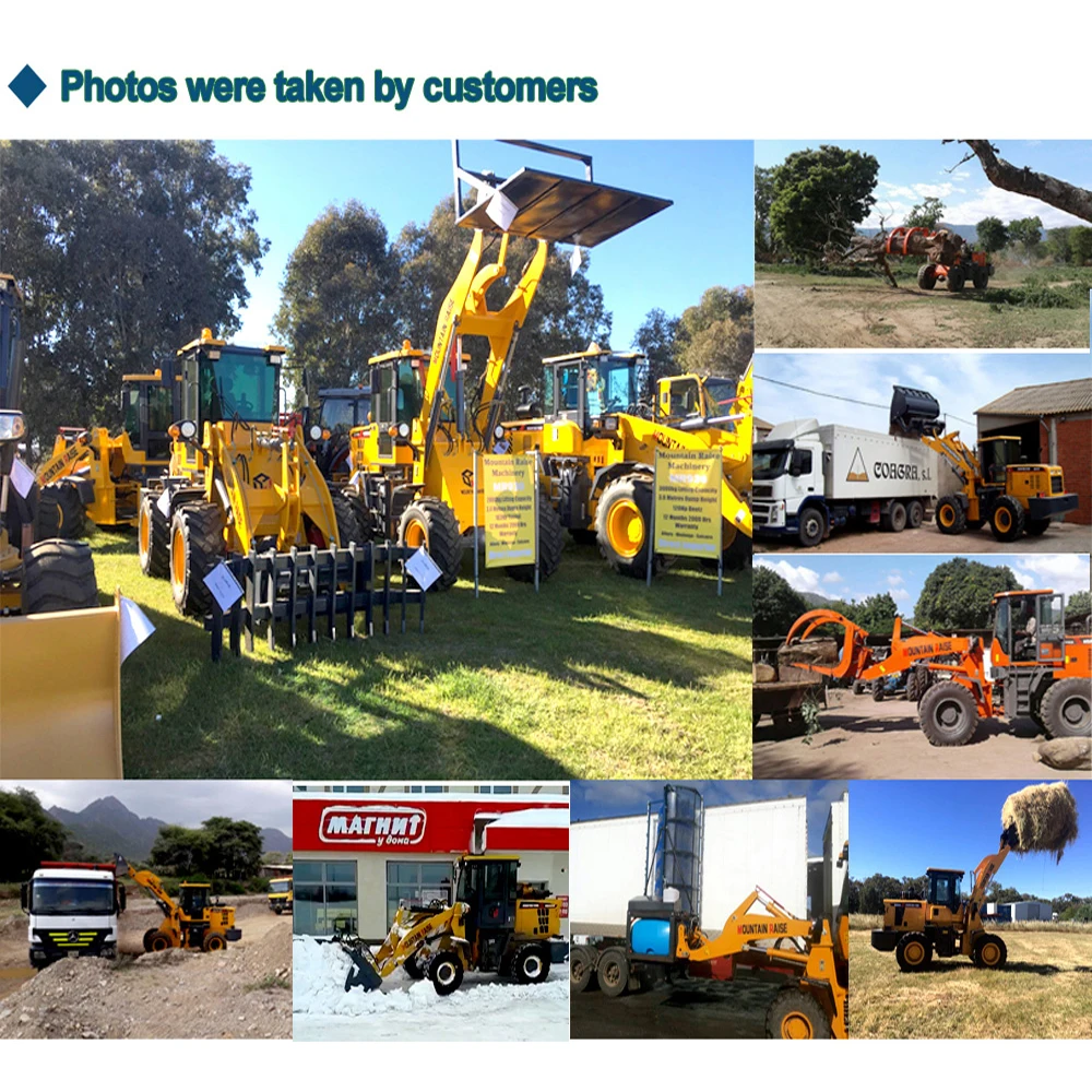 China log loader forester trailer cheap price CE certificate