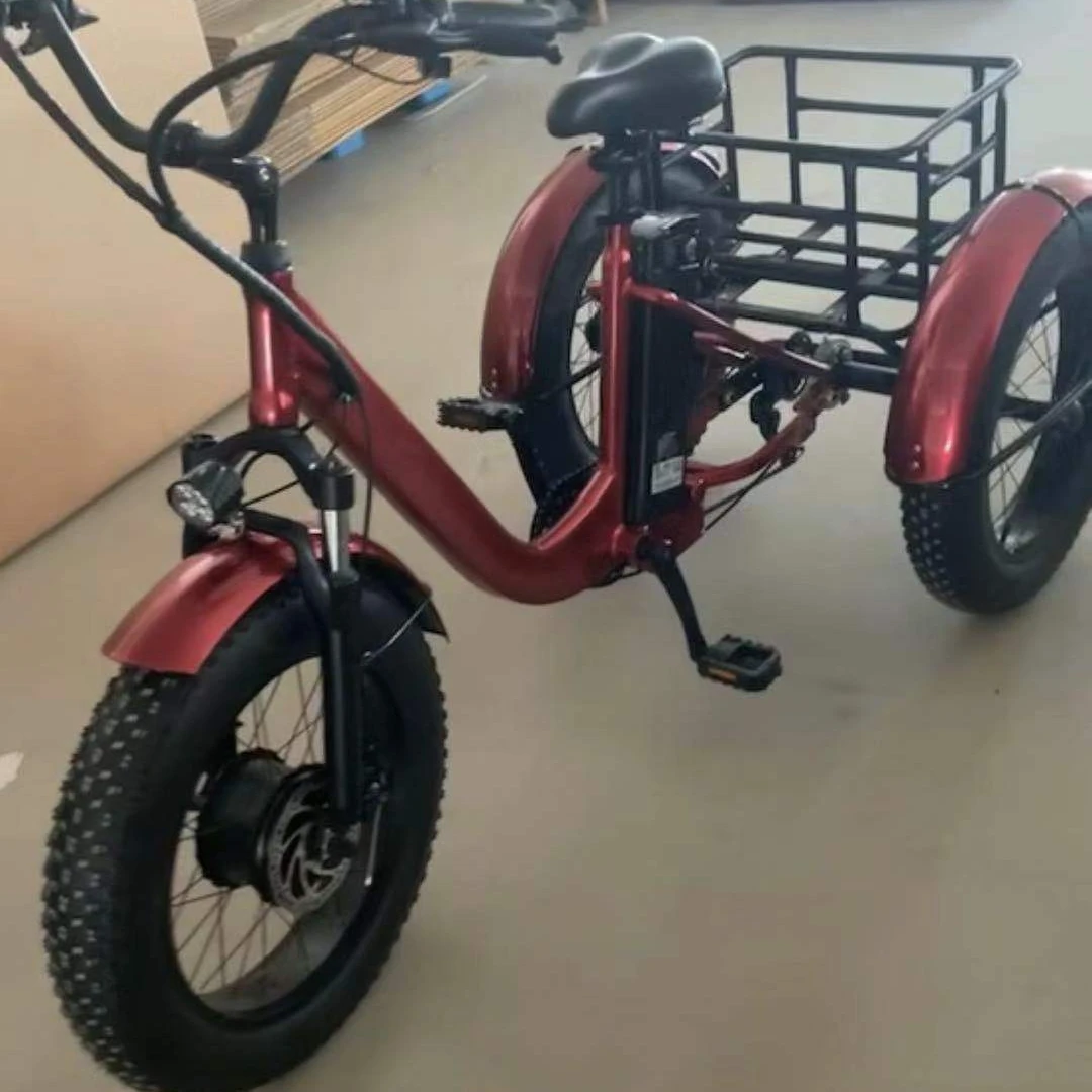 250W 20inch  fat tire  electric tricycle with throttle Electric Trike