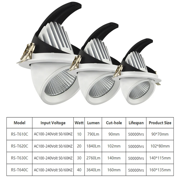 RONSE Adjustable indoor spot light dimmable ceiling light 10W 15W 24W 30W 40W 50W COB LED Wall Washer Downlight