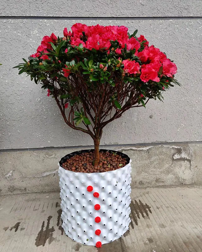 5 gallon Eco-friendly HDPE durable air roots  pot