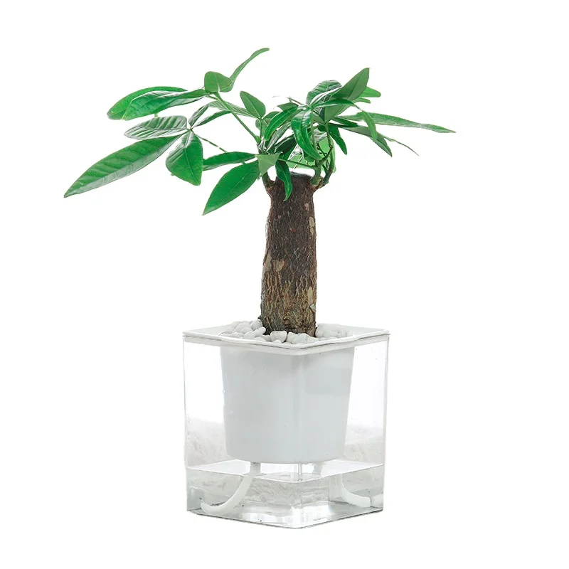 Cheap clear Japanese Garden Plant Pot Rectangular Self Watering Bulk Plastic Flower Pots