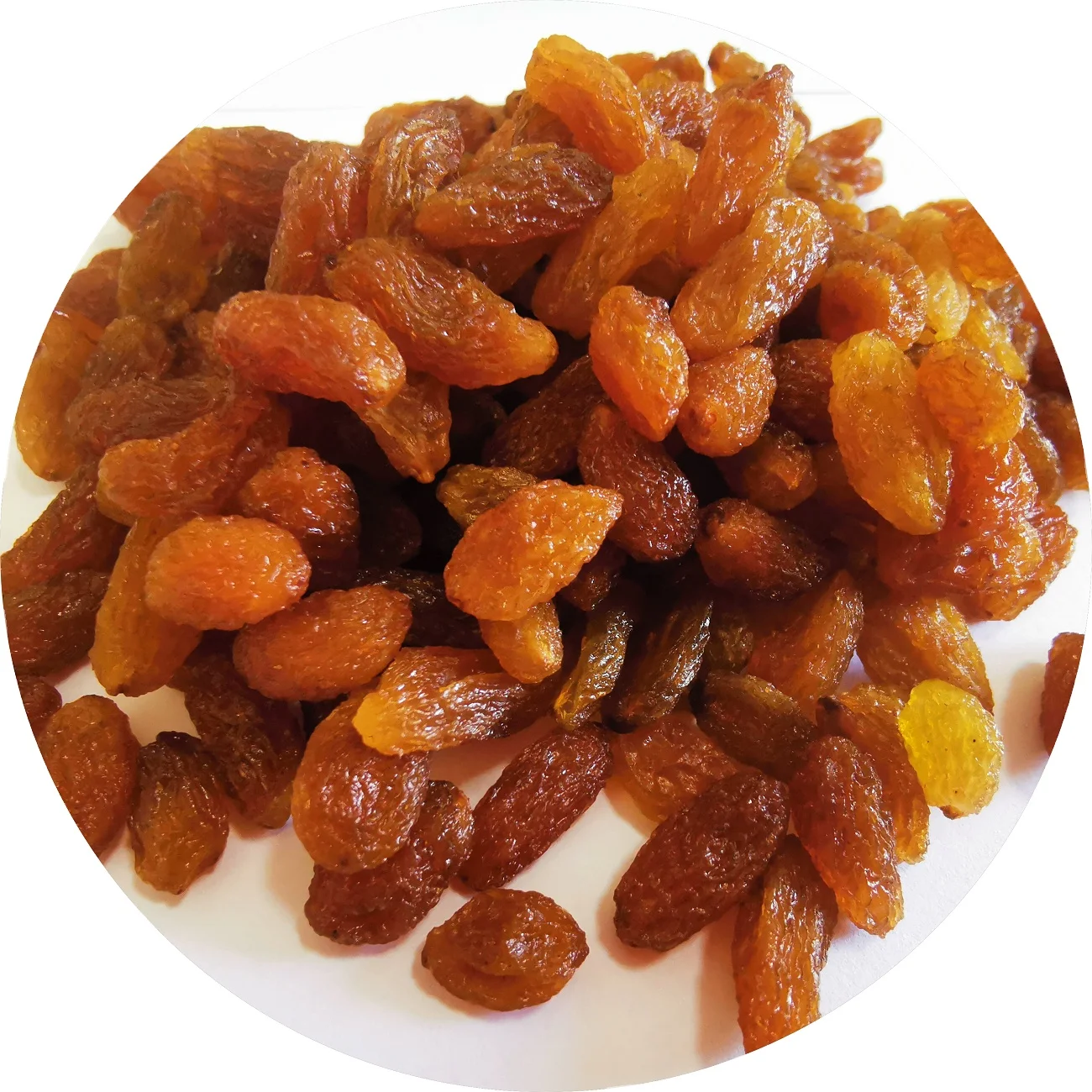 wholesale low price brown raisin washed red raisins dried grape little middle and big grade dried fruit