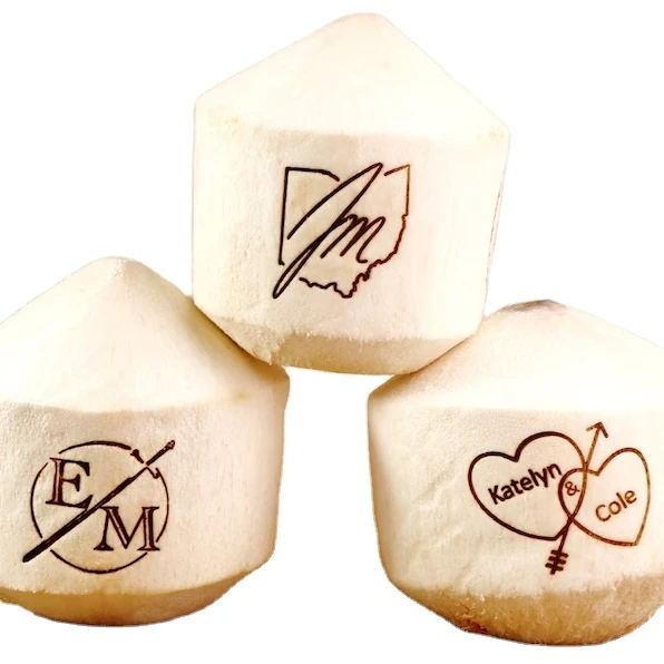 Coconut Fruit Iron Stamp Beach Brand Name Brass OEM Customized DIY Personalize Gift Home Kitchen Tools and STAMP