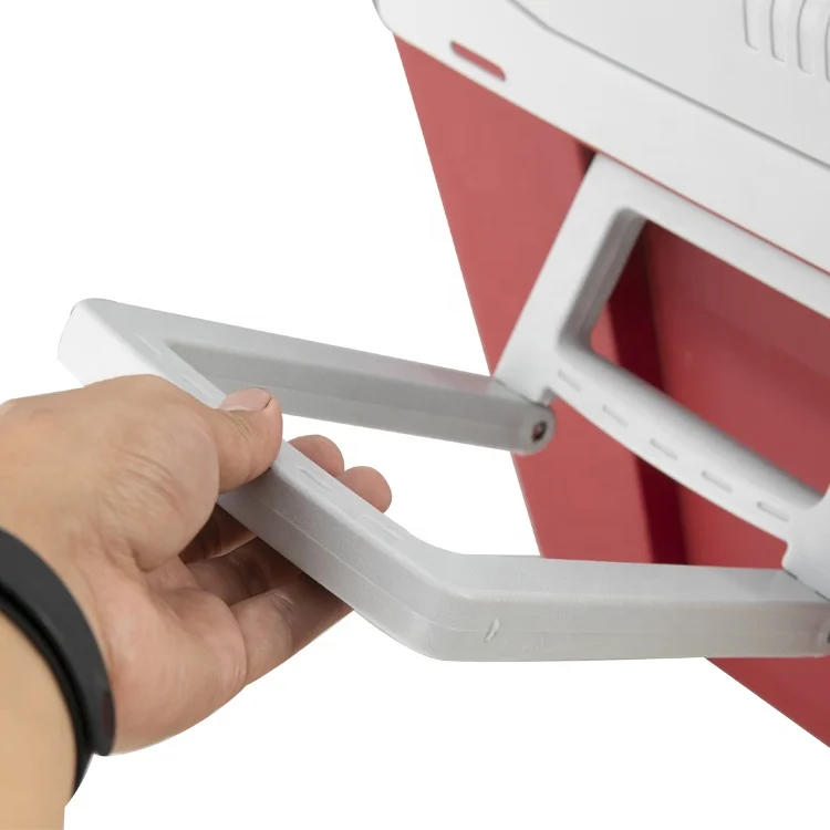 Hot Portable Electric Mini Thermoelectric 12v 240v Cooler and Warmer Box for Car