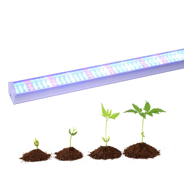 
Chinese Supplier wholesale 1200mm led grow light for dragon fruit full spectrum plant tissue culture led grow light 