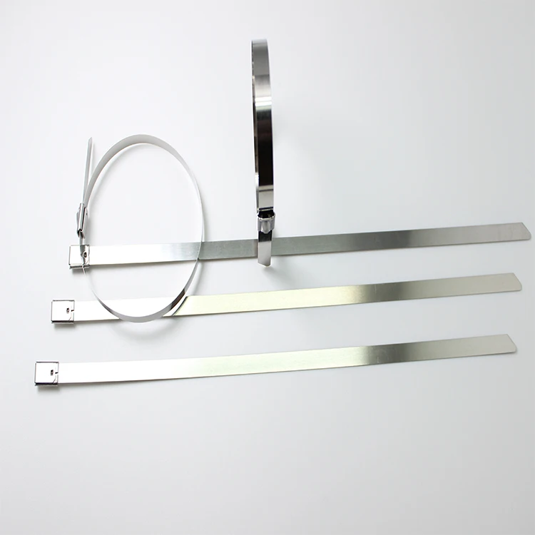 
Professional Manufacturer Stainless Steel Barb Cable Tie 